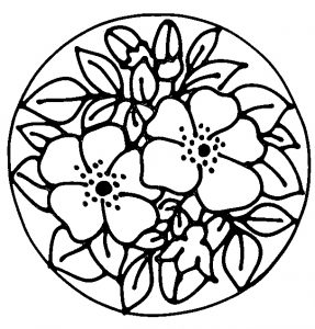 Flower Designs for Glass Painting